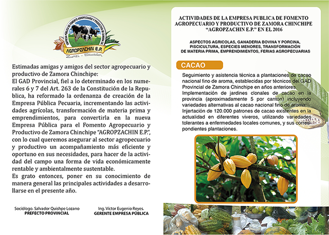 Imagen1