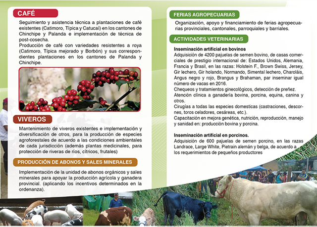 Imagen2